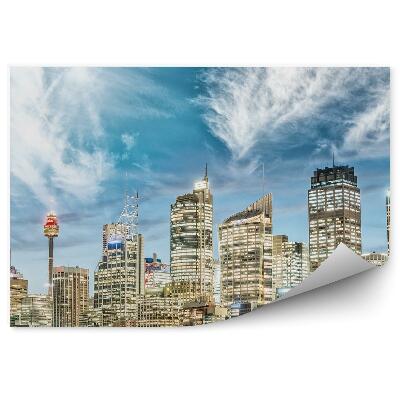 Fototapeta Mrakodrapy stromy obloha mraky Sydney