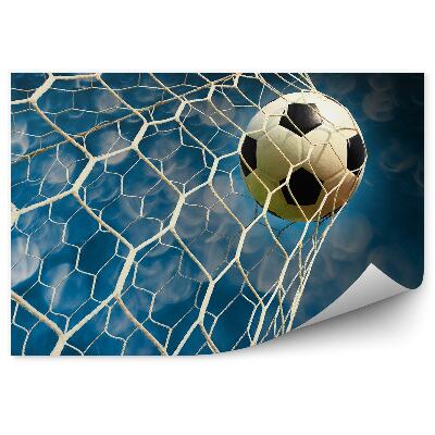 Fototapeta Brankový míč nebe