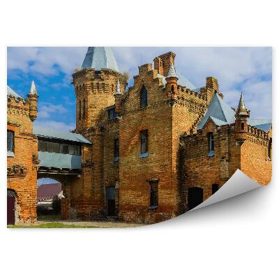 Fototapeta Cihlová brána hradu