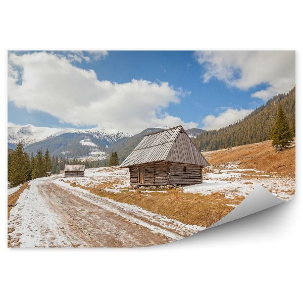 Fototapeta na zeď Dřevěné chaty venkovská silnice Tatry příroda