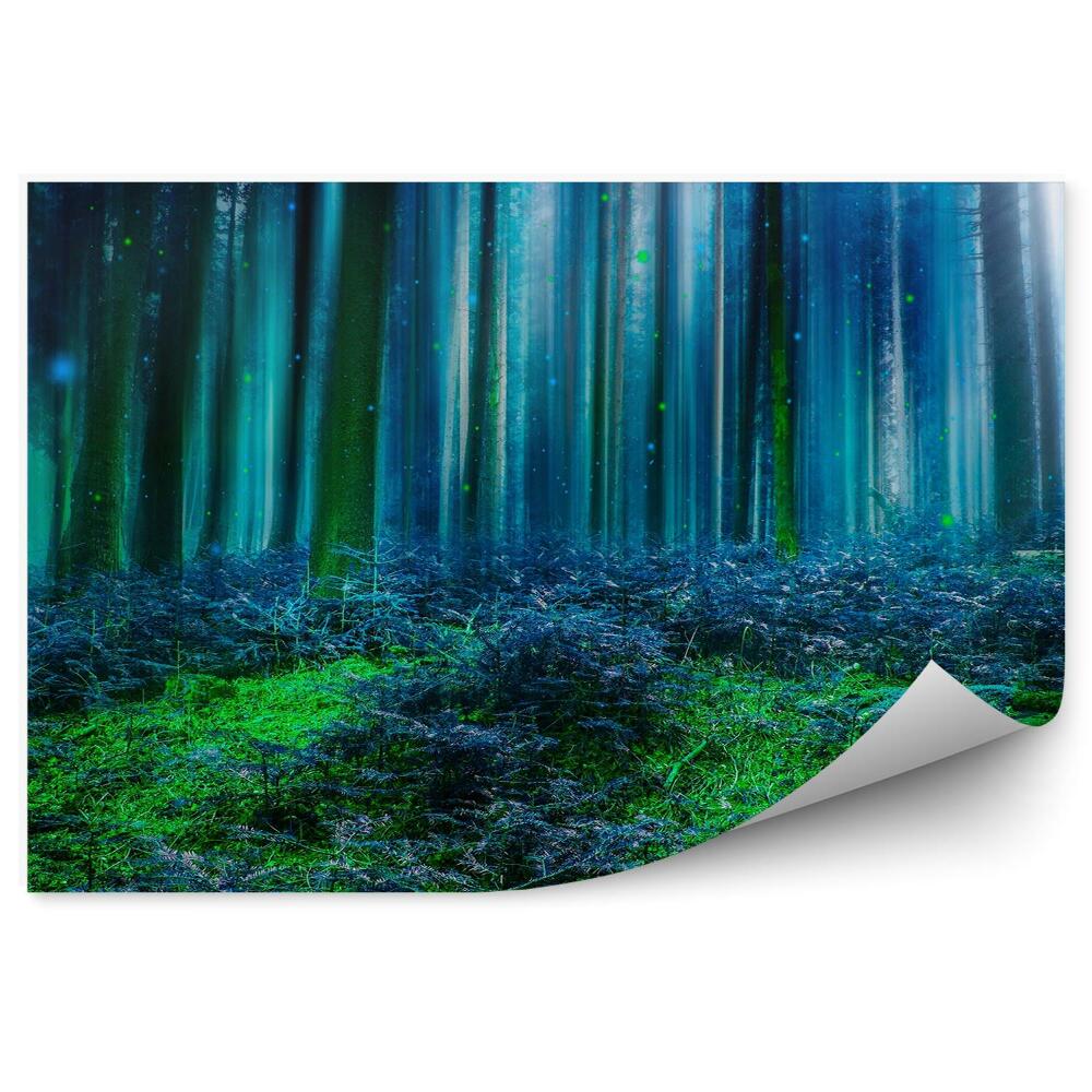 Fototapeta na zeď Pohádkový les s modrými zelenými světly