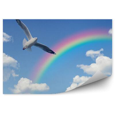 Samolepící fototapeta Duha palma rostliny hora