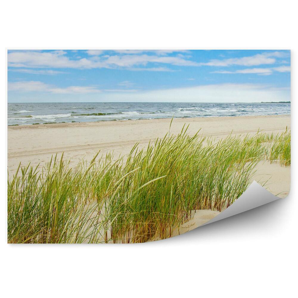 Samolepící fototapeta travnaté duny pláž Polsko Baltské moře