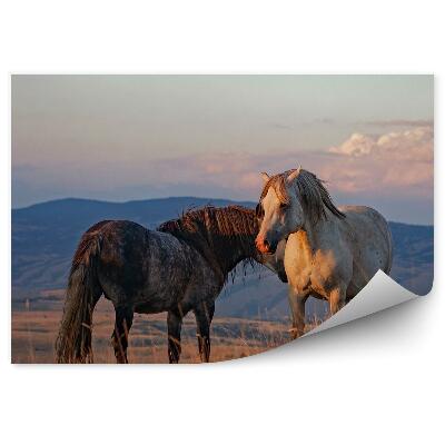 Fototapeta na zeď Polana bílí černí koně tráva kopce mraky