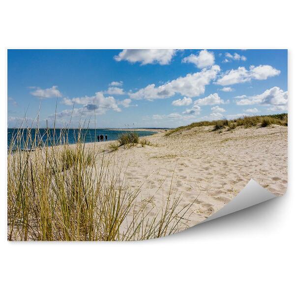 Fototapeta Oceánské duny pláž tráva ostrov Terschelling obloha mraky