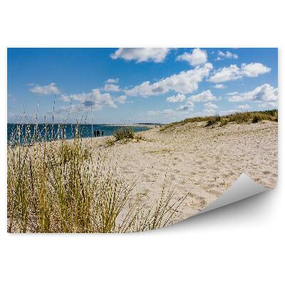 Fototapeta Oceánské duny pláž tráva ostrov Terschelling obloha mraky