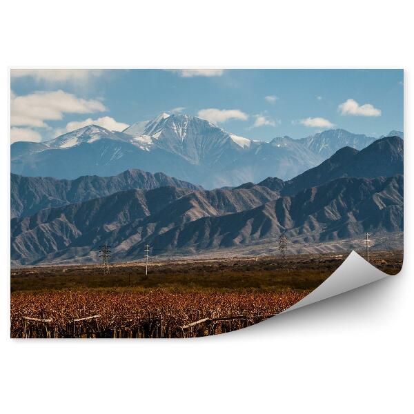 Fototapeta na zeď Sopka Aconcagua vinná réva Argentina nebe mraky sníh