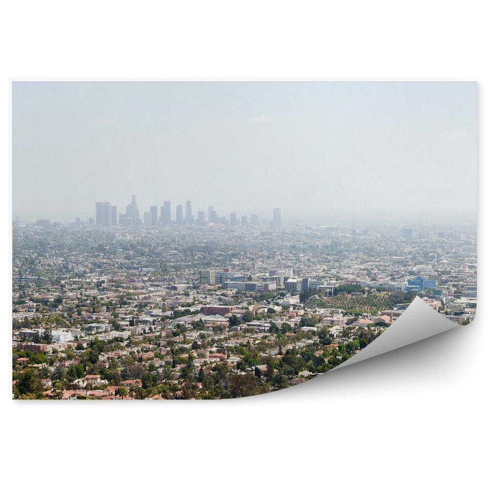 Fototapeta Letecký pohled Los Angeles budovy stromy