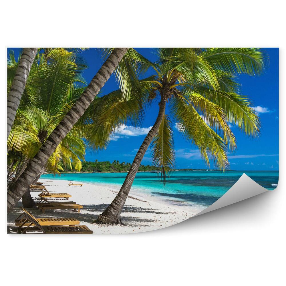 Fototapeta Lehátka mezi palmami Karibské moře cestovního ruchu