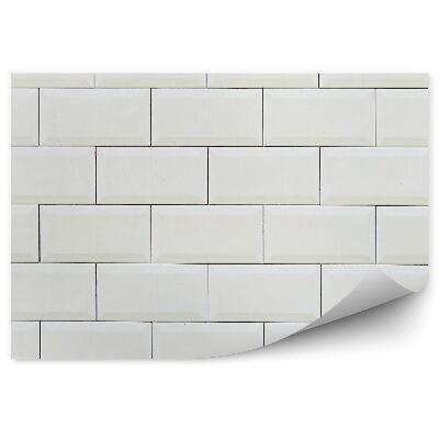 Fototapeta na zeď Stará bílá cihlová zeď