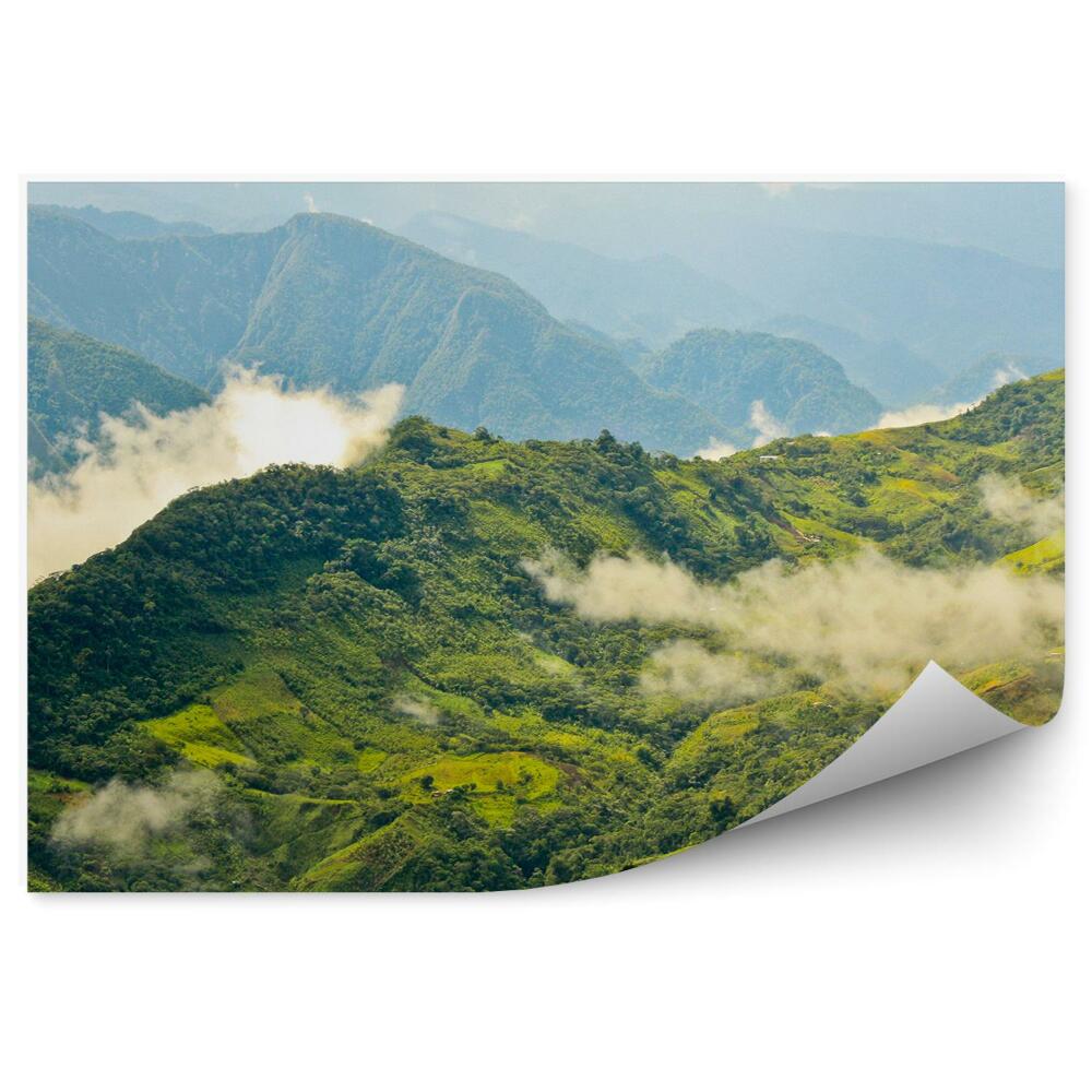 Fototapeta Peru lesy stromy paseky hory mraky