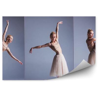 Samolepící fototapeta Mladá žena baletka šedé pozadí dlouhá sukně