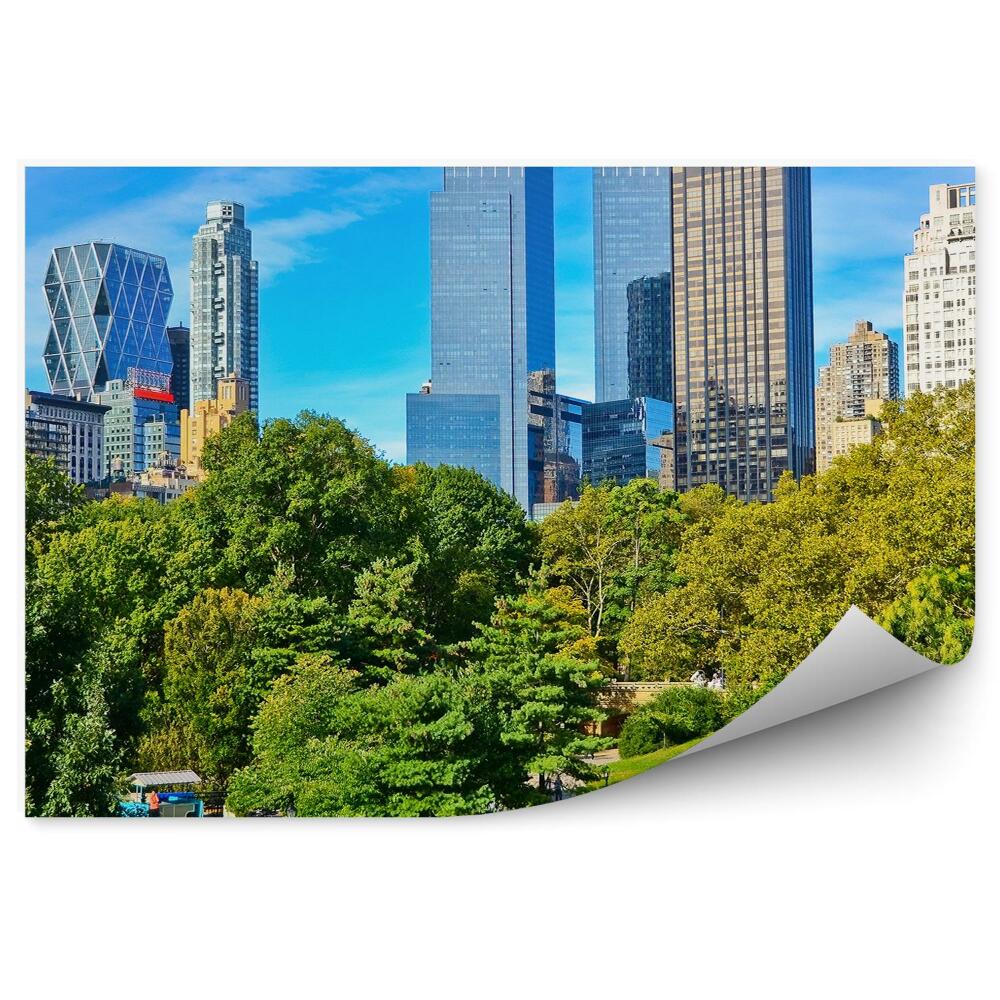 Fototapeta na zeď Pohled Central Park stromy tráva alej lidé New York