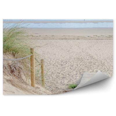 Fototapeta Bílá lávka lehátka palmy pláž oceán obloha mraky