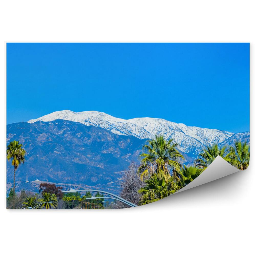 Samolepící tapeta Hory sněhové stromy palmy nebe Los Angeles budovy silnice nákladní auta