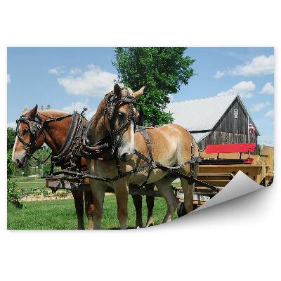 Fototapeta na zeď Domy půda půda mraky oblohy Afrika