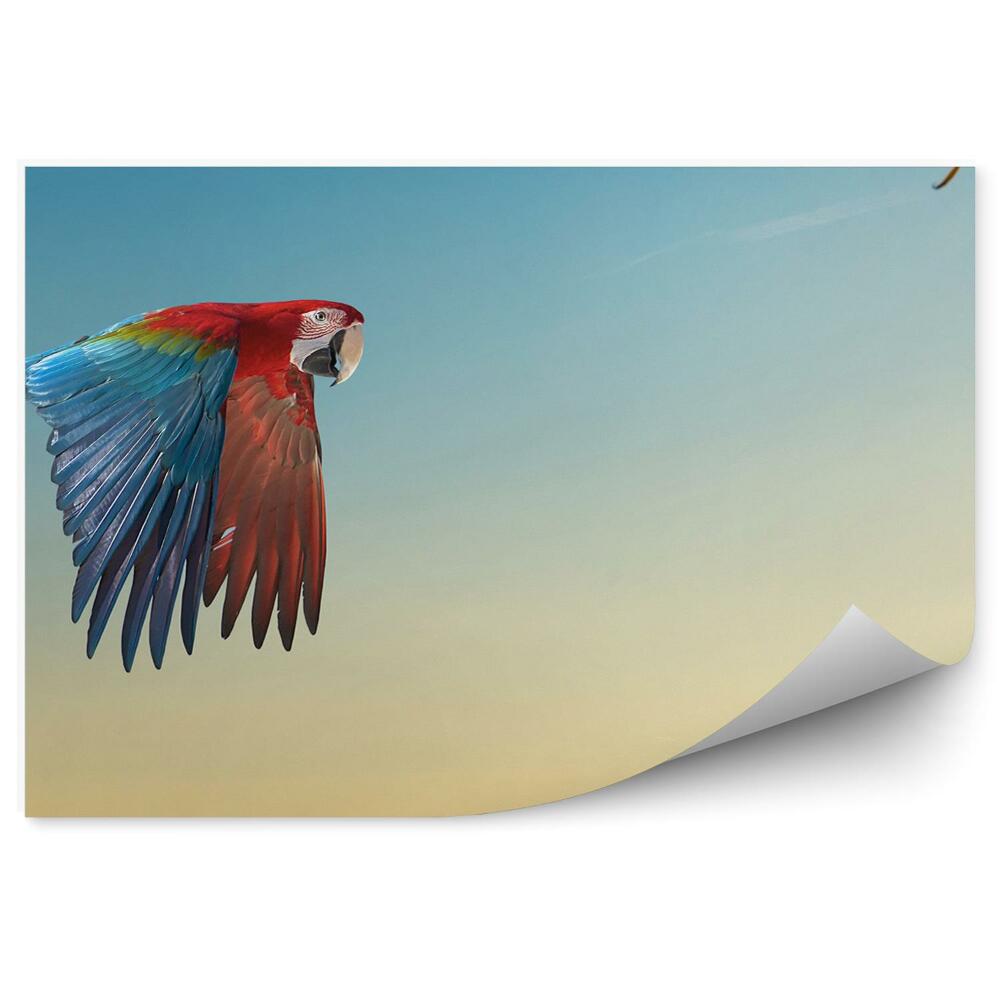 Samolepící fototapeta Ara papoušek divoký pták strom nebe