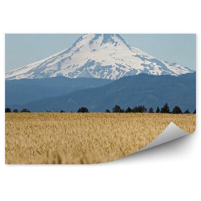 Fototapeta Pšeničné pole stromy hora Oregano nebe