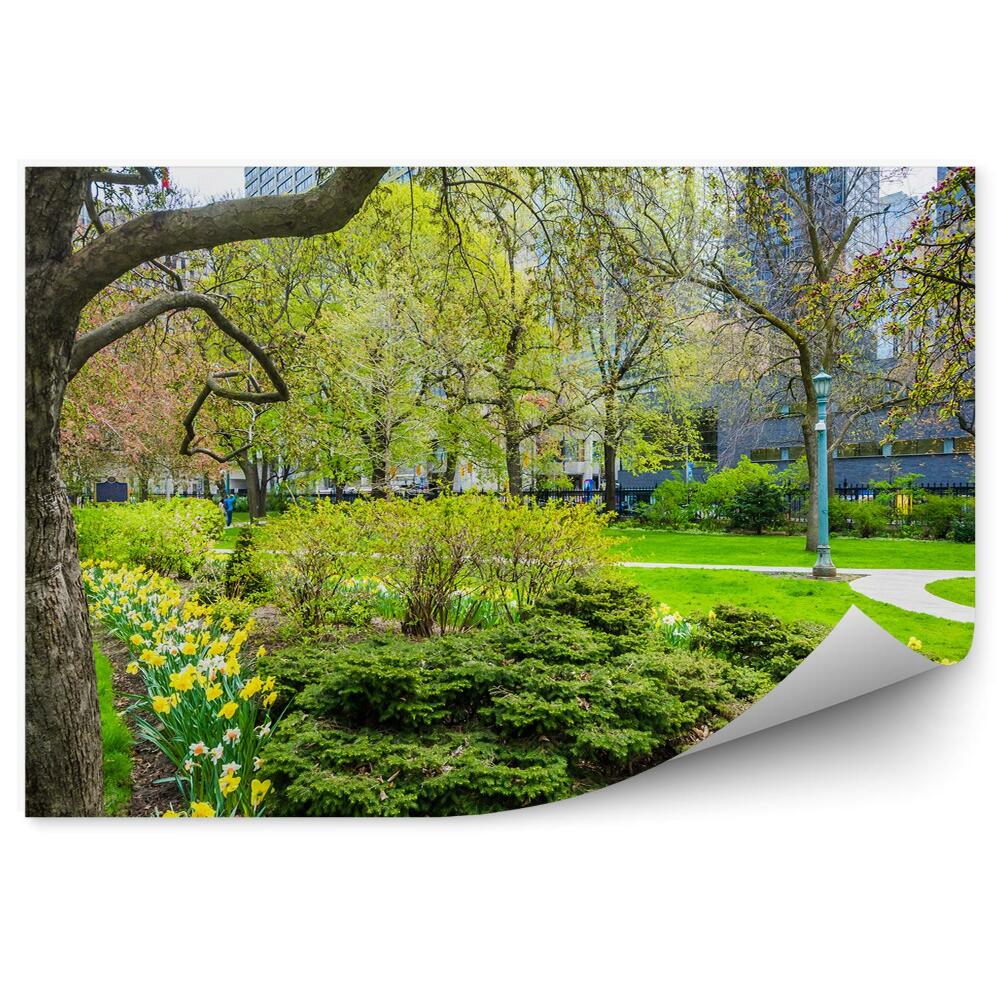 Fototapeta Stromy zahrady narcisy květiny městský park