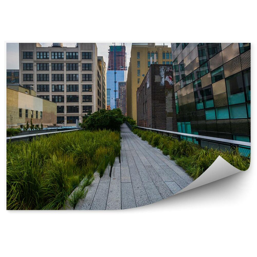 Tapeta na zeď Budovy lineární park chodník rostliny New York Chelsea