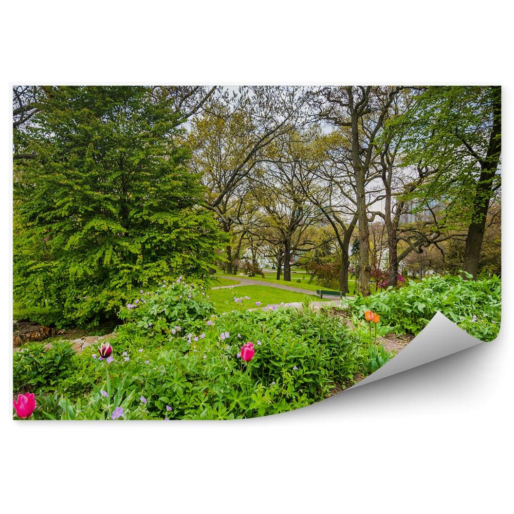 Samolepící fototapeta Růžové tulipány zelený park stromy jaro