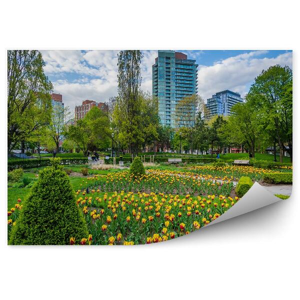 Fototapeta Garden Toronto květiny jarní tulipány