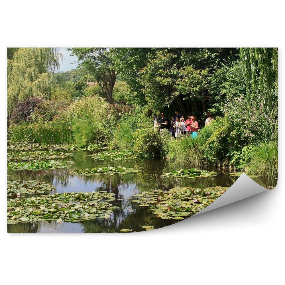 Fototapeta na zeď Turisté zahradní lekníny stromy