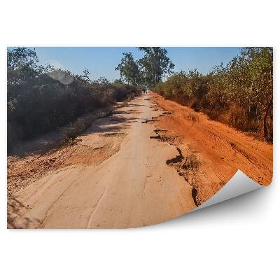 Fototapeta na zeď Afrika silnice písek zelená příroda