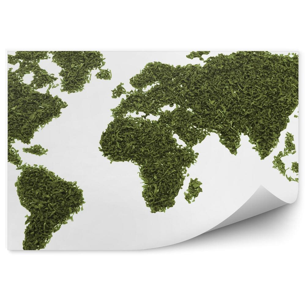 Fototapeta na zeď Mapa světa se sušenými listy