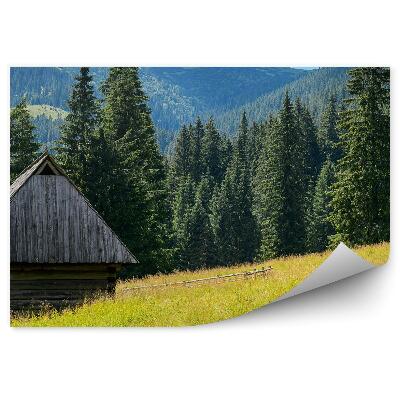 Tapeta na zeď Rýžová pole vesnice Chaing budovy západ slunce stromy