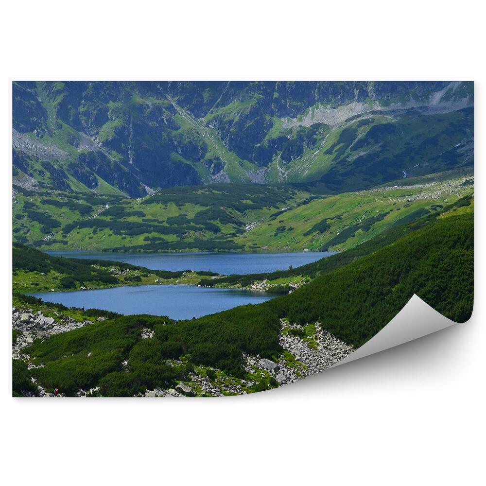 Fototapeta na zeď Dolina Pięciu Stawów Tatry mraky na obloze