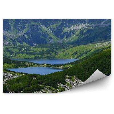 Fototapeta na zeď Dolina Pięciu Stawów Tatry mraky na obloze