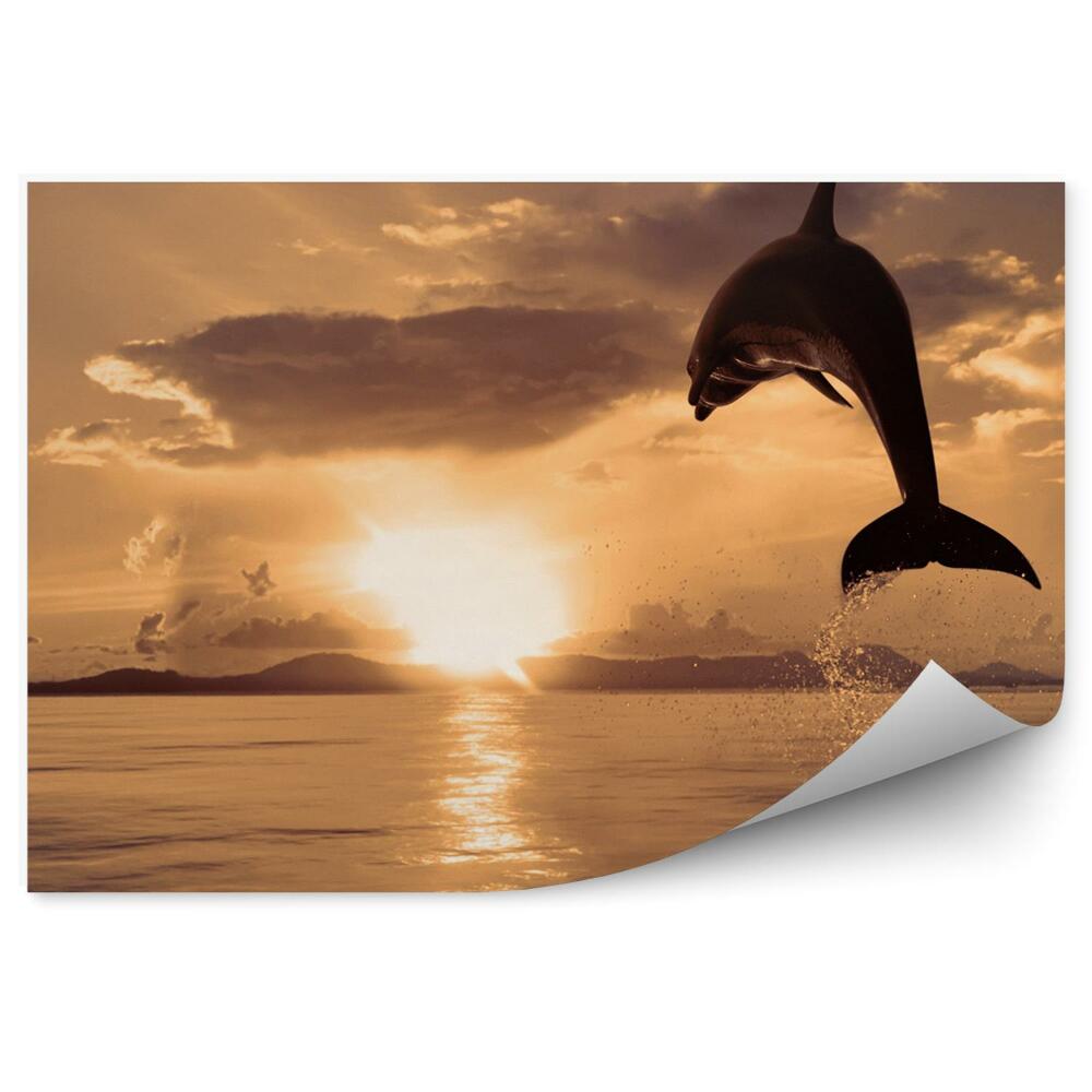 Samolepící fototapeta Skákající delfín a západ slunce