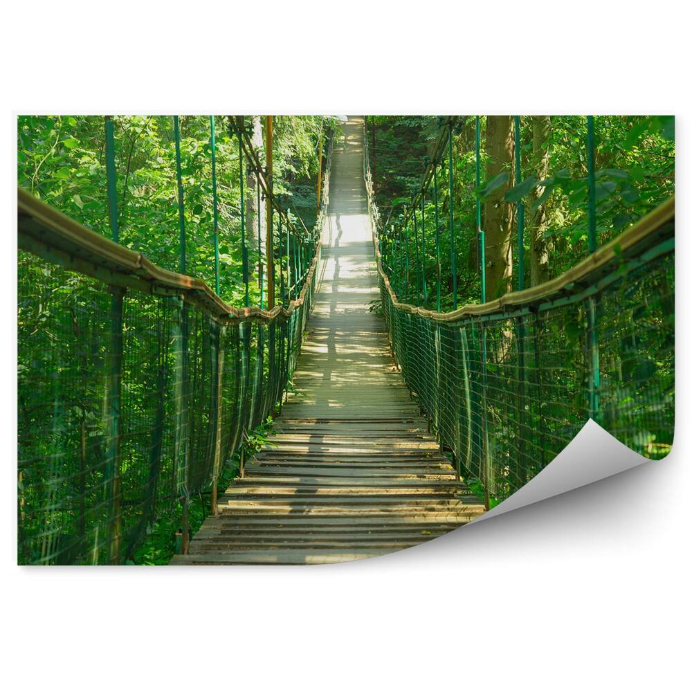 Fototapeta na zeď Dřevěný visutý most lesní lucerna