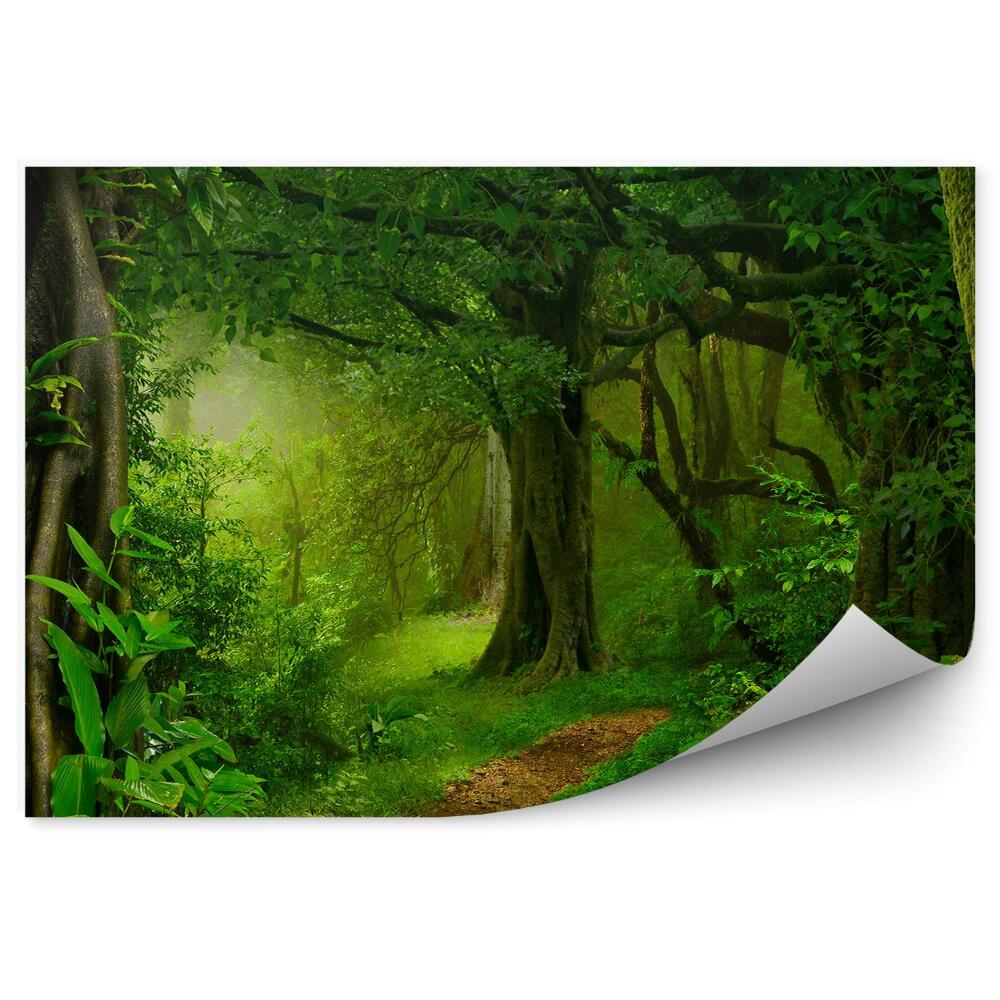 Samolepící fototapeta Příroda vegetace zelená džungle