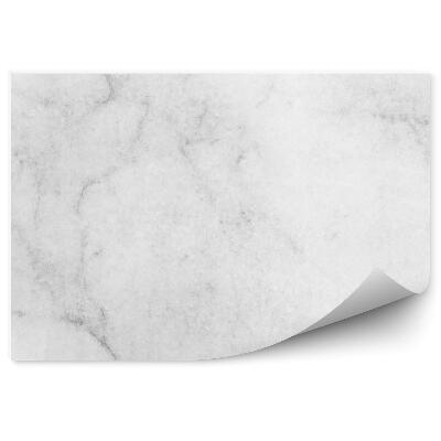 Samolepící fototapeta Bílý mramor