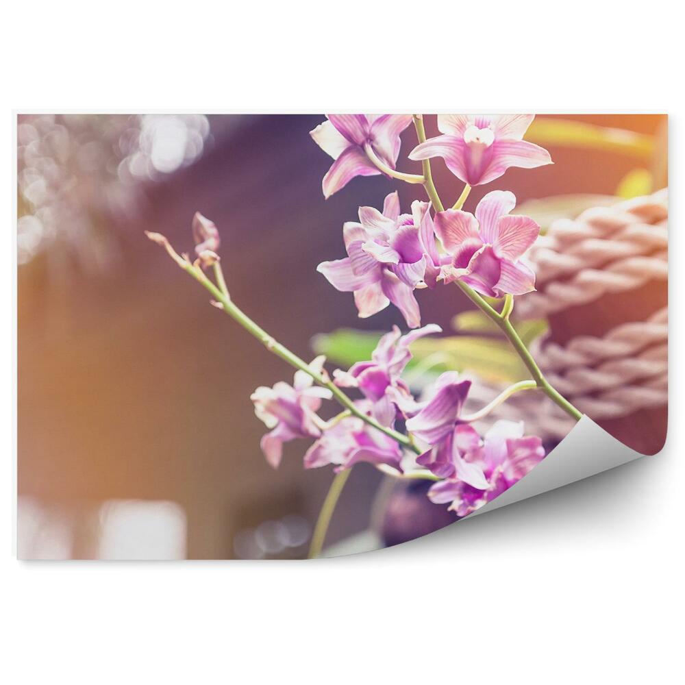 Fototapeta Růžové květy orchidejí strom šňůry