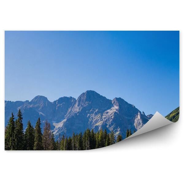 Samolepící fototapeta Morskie Oko hory jehličnaté stromy nebe Tatry