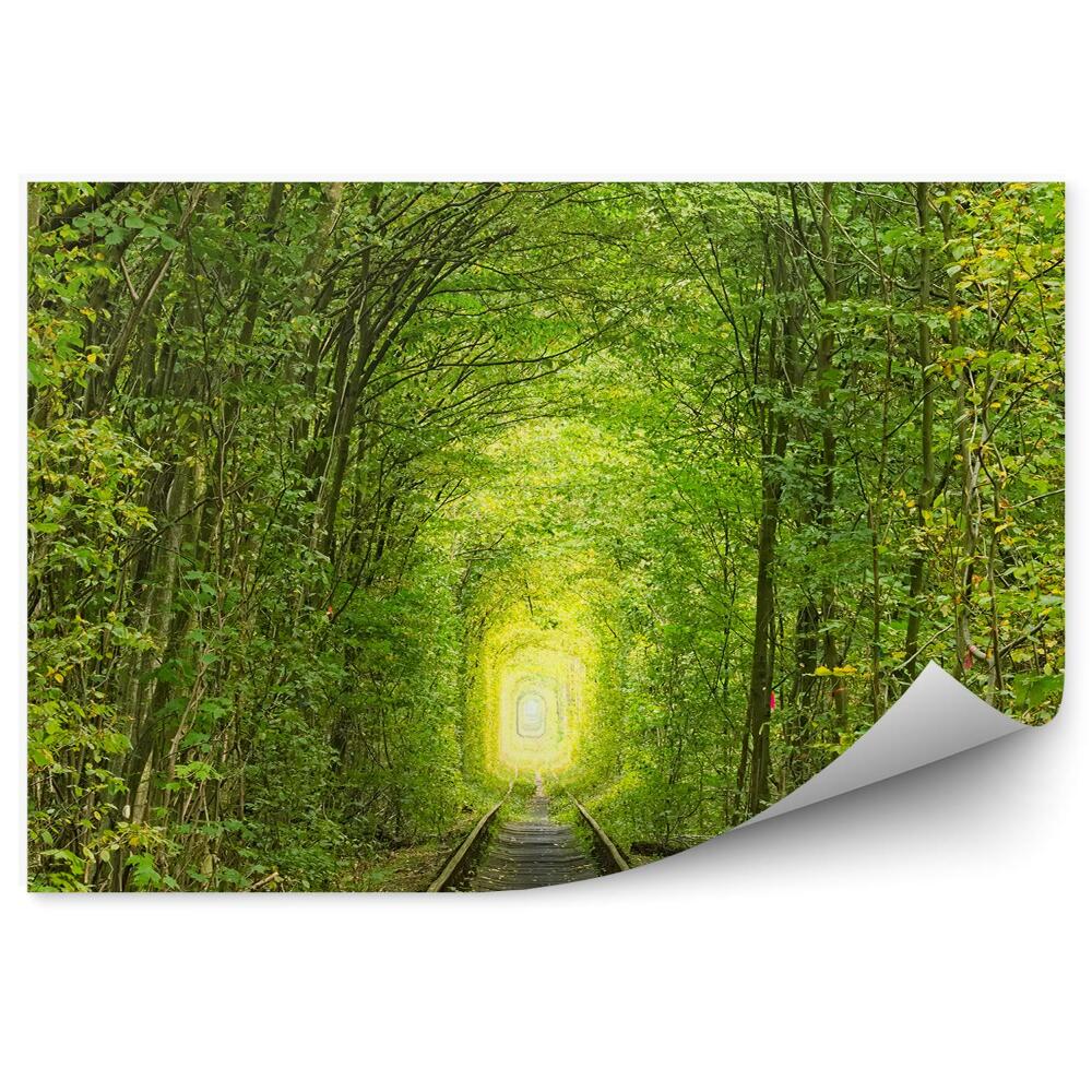 Fototapeta na zeď Starý železniční traťový tunel se zelenými stromy