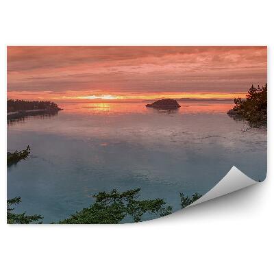 Fototapeta Západ slunce stromy záliv skála