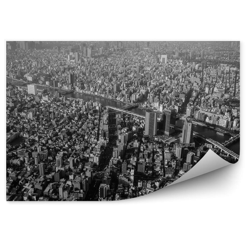 Fototapeta Pohled z ptačí perspektivy růžová obloha Tokio Japonsko světla stromy