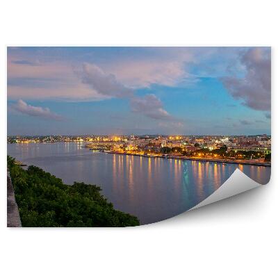 Fototapeta na zeď Havana stromy domy zeď řeka nebe mraky světlo