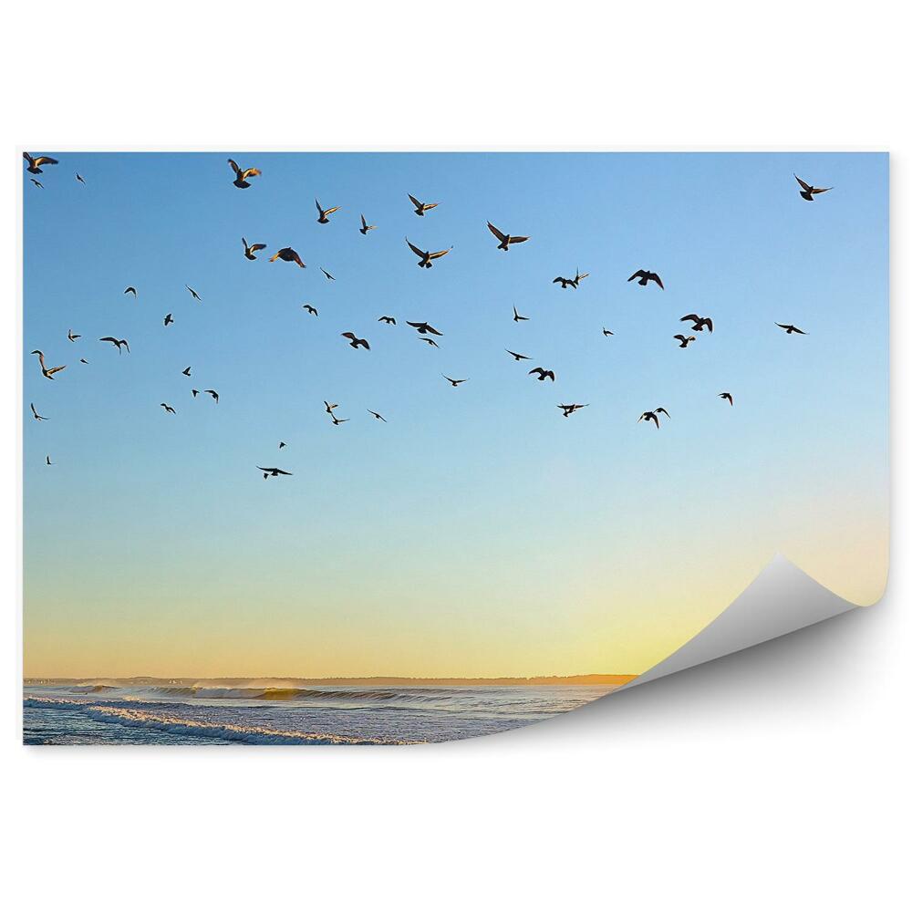 Fototapeta Východ slunce Atlantický oceán ptáci vlny pláž