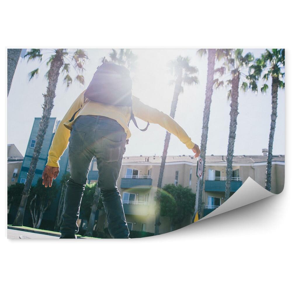 Samolepící fototapeta Skateboard budova palmy ulice znamení sport