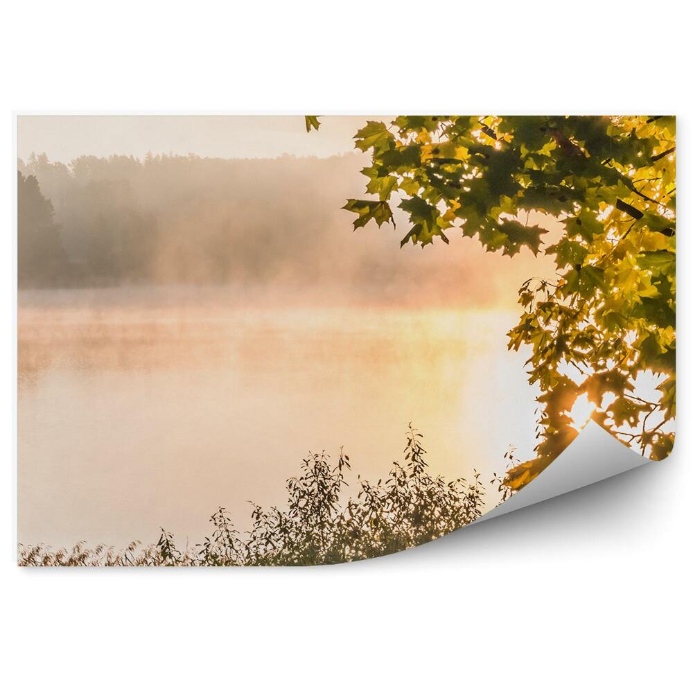 Samolepící fototapeta Park jezero strom listy zelené trávy