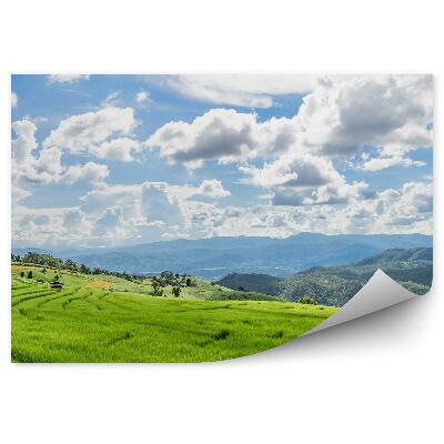 Samolepící fototapeta Zelené rýžové terasy příroda Thajsko