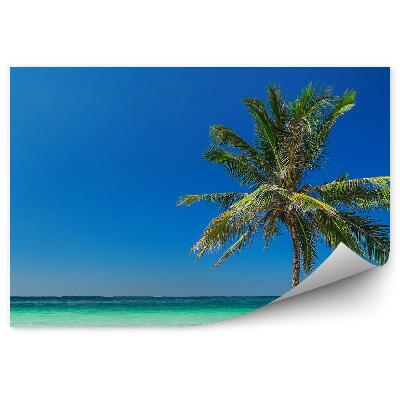 Fototapeta Písečná pláž oceán obloha mraky