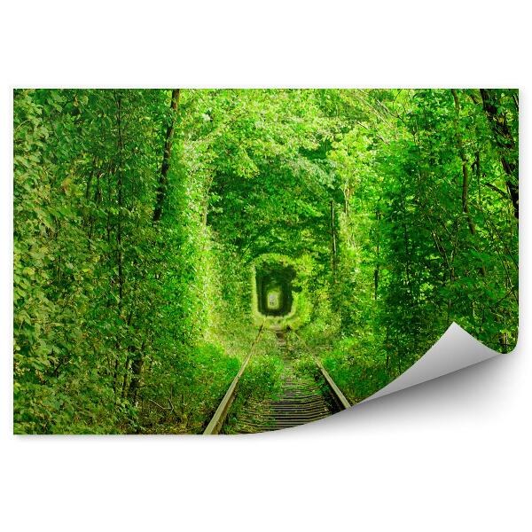 Samolepící fototapeta Zelený tunel stromy koleje