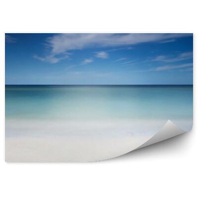 Fototapeta Vlny oceánu plážové duny tráva písek Virginie