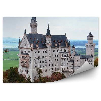 Fototapeta Skalnatý kopec stromy hradní horizont